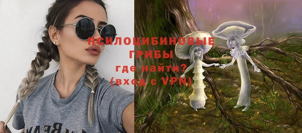 круглые Алзамай