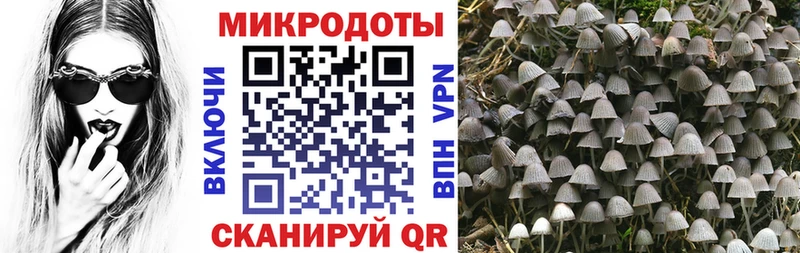Галлюциногенные грибы Cubensis  Костерёво 