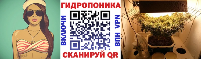 darknet клад  Костерёво  Канабис OG Kush 